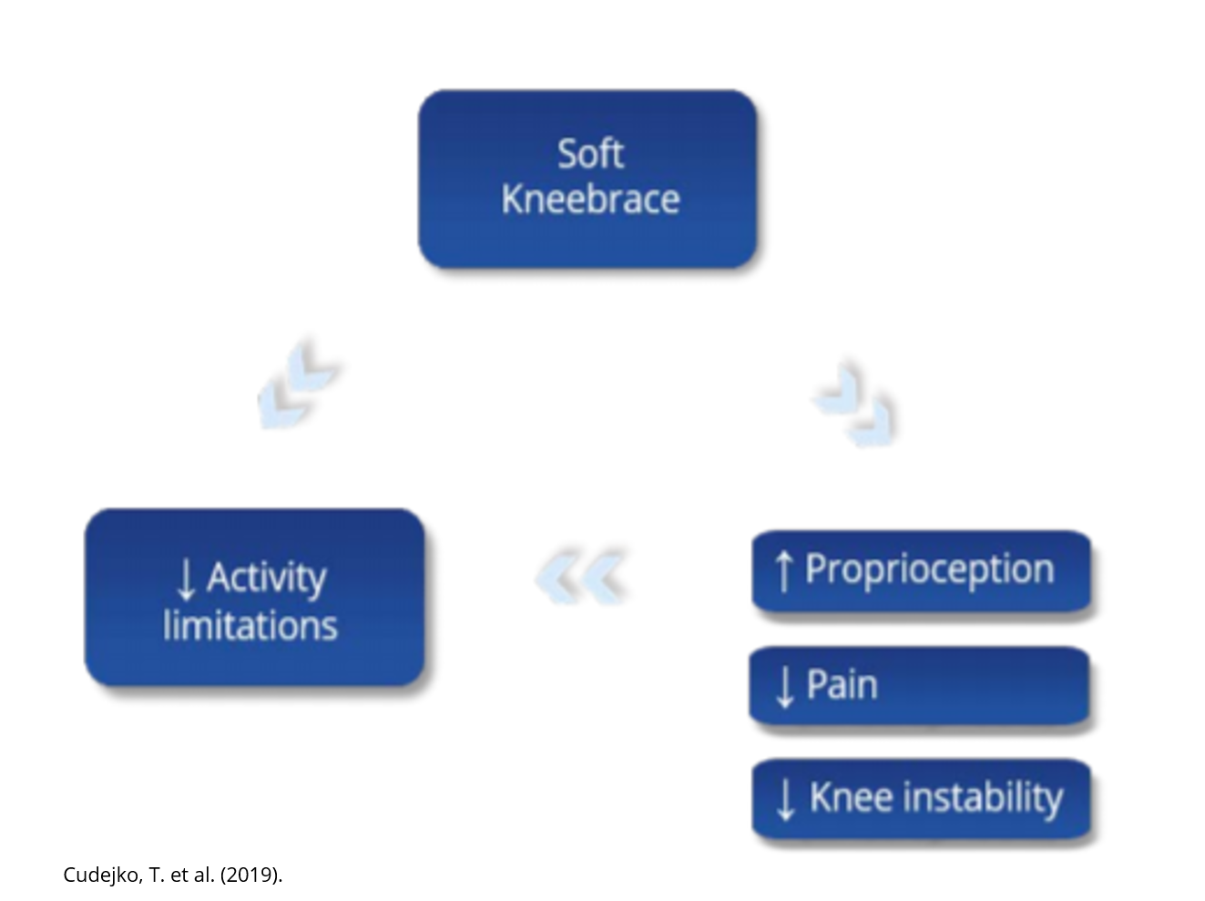 Proprioceptie - schematische weergave