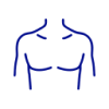 Thorax / borstkas
