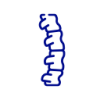 Thoracaal / bovenrug
