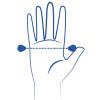 omvang hand