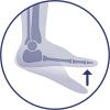 Biomechanische correctie